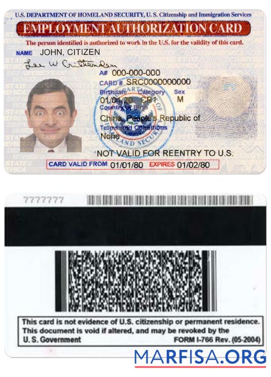 Printable United States Employment Authorization Card example